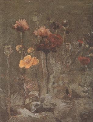 Still life with Scabiosa and Ranunculus (nn04), Vincent Van Gogh